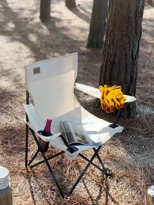 SFS* camping chair foldable chair foldable chair with back rest