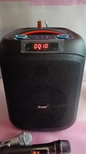 Brodu BTS-2475 Portable Bluetooth Speaker with Microphones