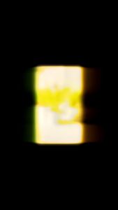 Krisan Tanaman Artificial: Tanaman Hias Tahan Lama untuk Dekorasi Ruang Tamu