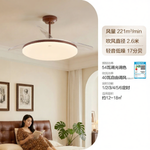 OPPLE | Large Flow Hidden Fan Light for Living Room Intelligent Control