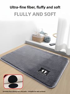 Absorbent Anti-slip Entrance Mats