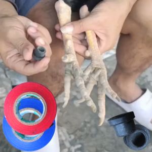 paket lakban jalu ayam suporting plus karet pelindung jalu zeorfarm