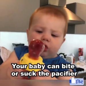 Pink Baby Feeder Food Bite Silicon Fruit Pacifier Puting Buah Baby Fruit Pacifier Bc