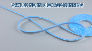 Lampu Neon Flex LED Remote 5m Lampu warna warni LED RGB App Control Sensor Tahan Air 24V