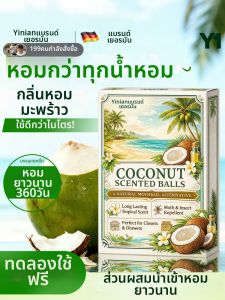 Yinian | Moisture-proof Mould-resistant Odor-eliminating Insect-repelling Camphor Ball