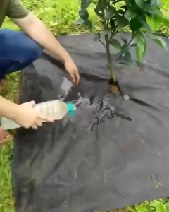 10/50m Agricultural Anti Grass Cloth Farm Weed Barrier Mat PP Mulch Thicker grass proof cloth