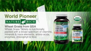 NatureRich Wheat Grass Powder Organic (42gm) | Wheatgrass Supplement Detox