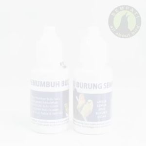 Obat Penumbuh Bulu Burung Sempati Obat Burung Bulu Rontok Patah Mabung Ngurak Moulting Lama Bermasalah Lovebird Kenari Murai Kacer