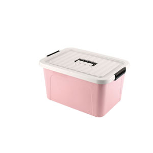 NAIFUNA | Large Capacity Storage Box with Lid