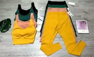 Đồ tập gym nữ set bộ thể thao áo crop kèm mút quần dài lưng cao NAQI thun lì mịn quảng châu cao cấp Bin Sports BD193