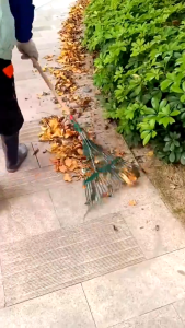22 Teeth Grass Rake Head Garden Leaf Rake Cleaning Tool Portable Cleaning Tool Agriculture High Quality with Handle