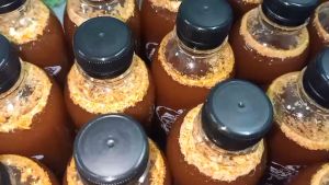 เชื้อเห็ดโคนเห็ดปลวก (ดอกเล็ก) ขนาด 500 มล. มีของแถมทุกออเดอร์