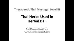 Therapeutic Thai Massage: Level III