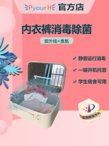 Small Portable PyourH Ozone Ultraviolet Light Disinfection Machine for Underwear Intimate Clothes And Mobile Phone Drying