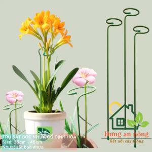 Trụ cố định cây hoa chất liệu sắt bọc nhựa chống gỉ giúp cây thẳng khỏe size 45cm - dầy 38mm/50mm - xem trong mô tả