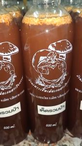 เชื้อเห็ดป่ารวม: 500 ml รวม 6 ขุล เห็ดระโงก เห็ดไค เห็ดตับเต่า เห็ดแดง เห็ดแผาะ และเห็ดโคน