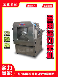 Commercial Multifunctional Vegetable Cutter Slicer Dicer for Carrots Potatoes Green Onions Tomatoes with 120W Motor