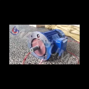 MAXPUMP Mesin Dinamo 3kw-4B5 Electro Motor Dynamo Khusus Pompa Lumpur 4HP 3kw 380volt Elektro Motor 3 Phase 4 Pole 1450rpm - Biru