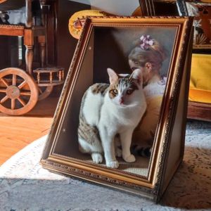 Healing Mona Lisa Cat Scratcher Board Waterproof Oil Painting Cat Scratching Pad High Aesthetic Value Lamp Painting Cat Nest