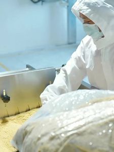 JINGLIPEI | Bột Mè Giàu Protein Thấp GI Nhiều Sợi Chất Xơ Bổ Sung Selenium