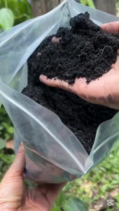 เศษถ่านไม้แท้ธรรมชาติ | วัสดุปลูกพืช ปรับปรุงดิน คลุมหน้าดิน ดูดซับกลิ่น | พร้อมใช้