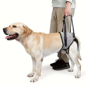 DearPaws สายรัดขาสายรัดพยุงตัวสำหรับสุนัขและผู้สูงอายุพร้อมที่จับช่วยยกหลังสำหรับสุนัขพิการ