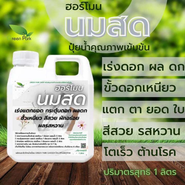 ฮอร์โมนนมสด 1 ลิตร บำรุงพืช แก้ต้นโทรม