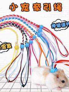 Squirrel Leash Hamster Rope Hedgehog Piggy Mouse Rabbit Small Pet Golden Retriever Guinea Pig Neck Ring Outdoor Rope Toy