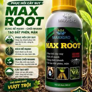 Max Root 500ml - Sản phẩm phục hồi cây suy kích rễ mạnh bung chồi nhanh tạo đất phèn mặn