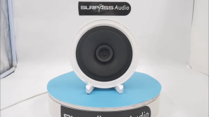 PA System 6.5inch Coxial Ceiling Speaker Passive Roof Speaker Stereo Sound Frameless Narrow Edge Shell Woofer Speaker CR620