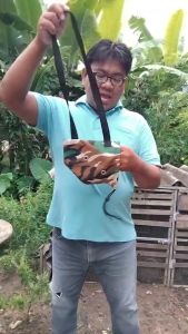 กระเป๋าเชลยไก่ กระเป๋าเชลยไก่ป่า กระเป๋าใส่ไก่ป่า