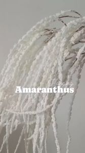 1/3/5/10 pcs Bunga Amaranth Palsu Gantung Cocok untuk Pesta Liburan Dekorasi Rumah Pesta Pernikahan Bunga Palsu Luar Ruangan