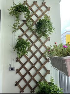 Giàn gỗ gắn tường treo chậu cây leo hoa trang trí ban công sân vườn điều chỉnh khung co giãn có thể gấp gọn.