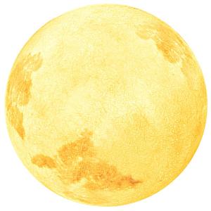 VINCAN | Waterproof Moon Shape Garden Light