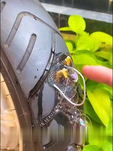 FR-C1078 Skrup Paku Karet Tambal Ban Tubeless / Sekrup Penambal Ban Bocor Baut Motor Patch Bolt