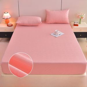 Waterproof Dustproof Mattress Protector Full Cover Single Piece Bed Canopy Universal Four Seasons Mattress Cover Bed Sheet
