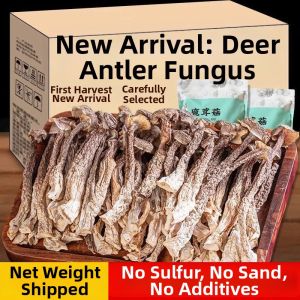 WENXIANGZAN | Premium No Sulfur No Sand No Additives Dried Deer Fungus