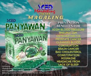 SCED Panyawan Garlic capsules (BUY 1 BOX WITH FREE 1 PAD PANYAWAN PLUS)-Food Supplement