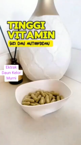 Obat Herbal Pencernaan – Atasi Perut Kembung Mual dan Masuk Angin - Ekstrak Daun Kelor 60 Kapsul BPOM
