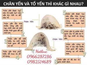 Nguyên chất 100% chân yến thô ít lông không tạp 50g nhặt nhanh