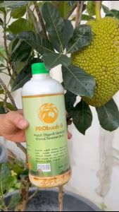 Pupuk Pelebat Buah Organik PRObuah G supaya tanaman berbuah banyak