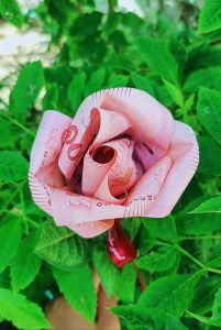 ของขวัญ กุหลาบดอกไม้ ให้คนที่รัก ดอกกุหลาบเงินสด สินค้าตามภาพ