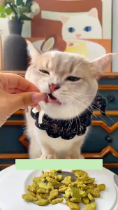 COD😻253g ขนมขบเคี้ยวแมว คุ้กกี้แมว บิสกิตเเมว คุกกี้กัญชาแมว ขนมแมวกินได้ รูปร่างปลาขนาดเล็ก มินิคุกกี้ กลิ่นใบมินต์