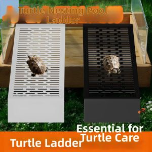 Turtle Sunbathing Platform Egg Laying Pool Climbing Ramps