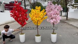 Cây hoa anh đào giả - cây hoa mai giả - Size 140cm đến 180cm - Cây giả hoa lụa Decor trang trí nhà cửa