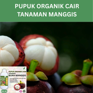 Pupuk Buah Manggis 500 ML /Pupuk Booster Manggis Cepat Berbuah Lebat/Pupuk Cair Manggis
