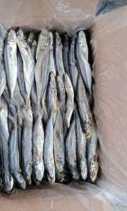 Ikan asin peda LAYANG / CUE / KLOTOK segar 1 kg