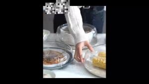 JeDa ฝาครอบจาน สไตล์ญี่ปุ่น  ฝาครอบอาหาร ฝาชีเก็บอุณหภูมิร้อน เย็นIn sulation cover