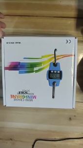 Portable Electronic Hanging Scale 300kg Mini Digital Scale for Fishing Luggage Travel Weighting Hanging Steelyard Electronic Hook Scale Kitchen Weight Tool