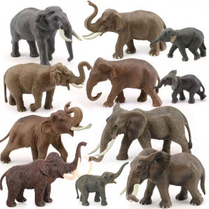 30 Types of Elephant Models Realistic African Asian Mammoth Long Hair Baby Elephant Ornaments Early Education Toys for Children